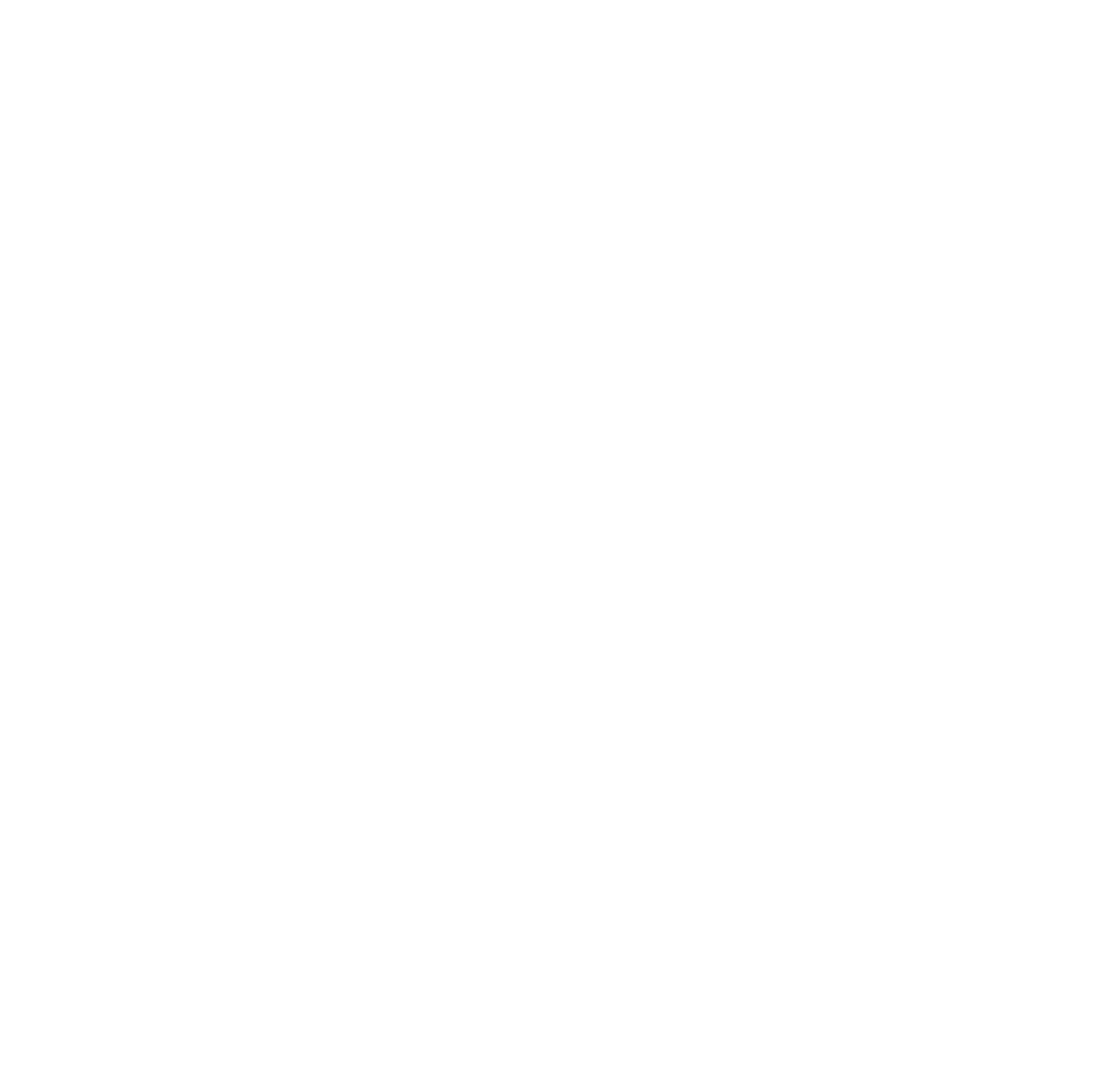 Nima Pouramin Aein logo